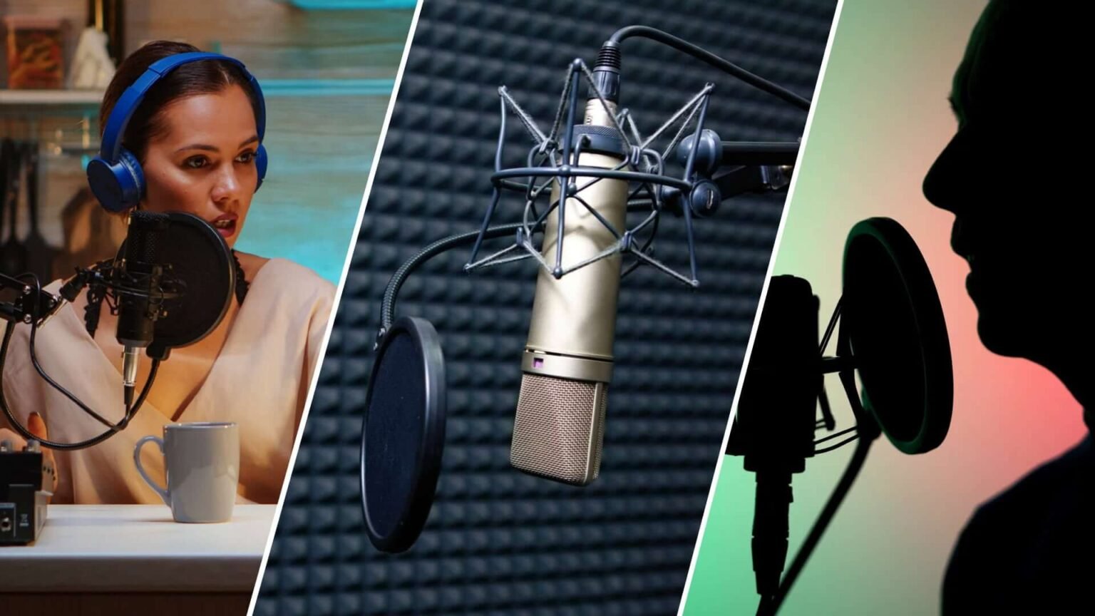 Voice Acting